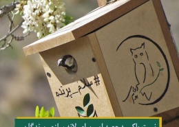 نست باکس
