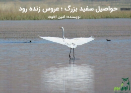 اگرت بزرگ