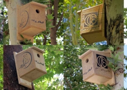 birds nest box in isfahan