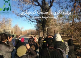 گردشگری ایرانگردی