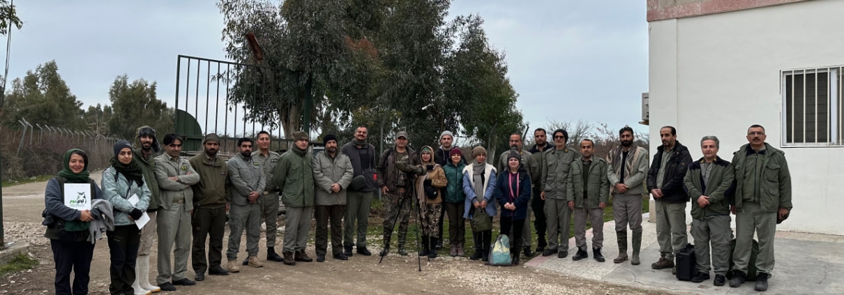 Miankaleh International Wetland Waterbird Census, Mazandaran province
