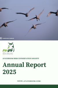 AvayeBoom_Annual_Report_2025_200x300