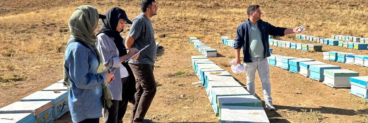 کارورزی رشته ی محیط زیست