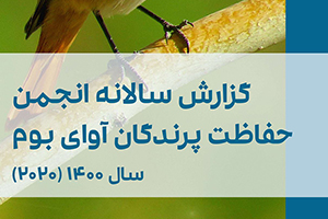 گزارش سالانه آوای بوم