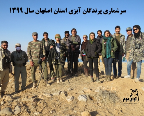 سرشماری پرندگان آبزی