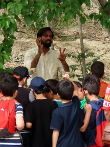گیاه شناسی