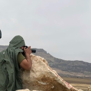 پایش سالانه غاز قرمز در دشت ارژن