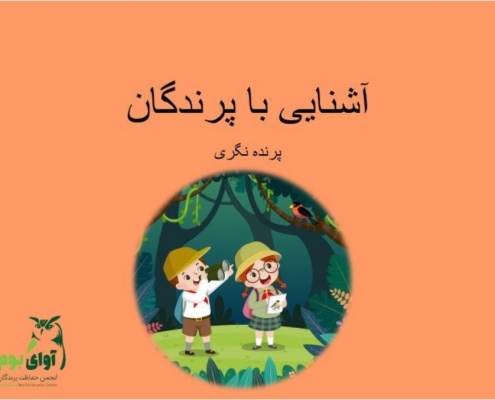 آموزش آنلاین دانش آموزیان