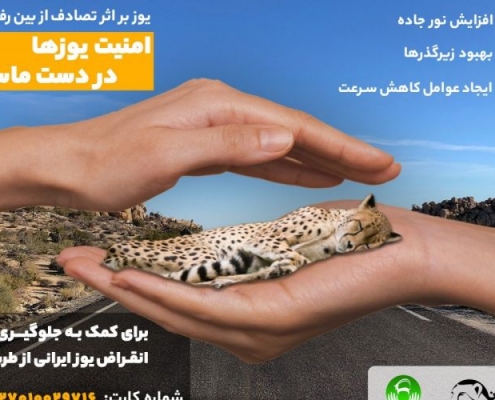 پویش مردمی ایمن سازی جاده برای یوز ایرانی