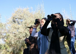 روز ملی پرنده نگری