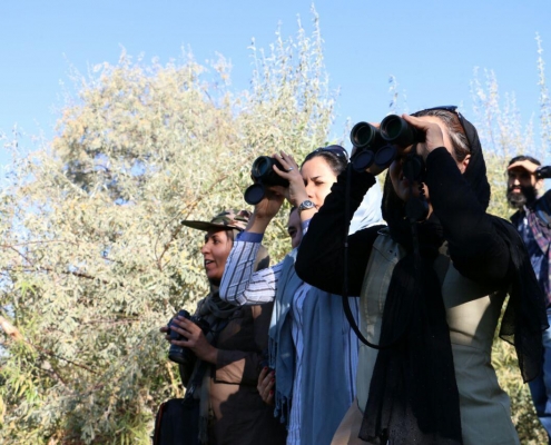 روز ملی پرنده نگری