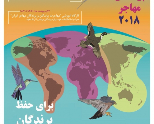 روز جهانی پرندگان مهاجر 2018