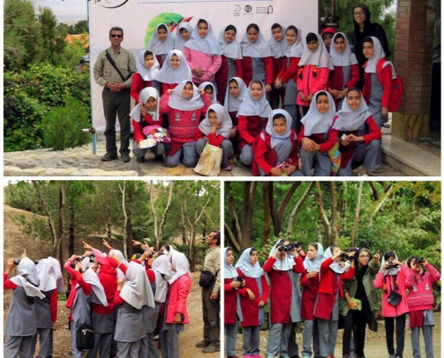 پرنده نگری مدرسه بیرجندی