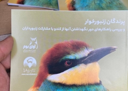 کندو و زنبور داری و پرندگان زنبورخوار و سبزه قبا