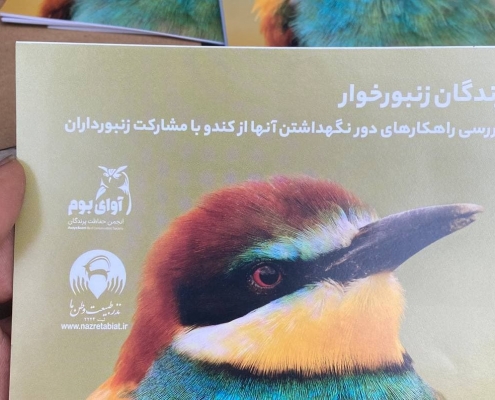 کندو و زنبور داری و پرندگان زنبورخوار و سبزه قبا