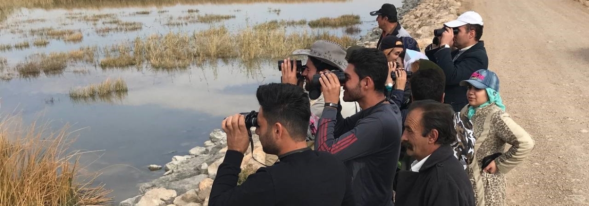 پرنده نگری و سلامت روان