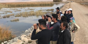 پرنده نگری و سلامت روان