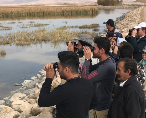 پرنده نگری و سلامت روان