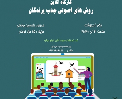 روش های اصولی جذب پرندگان