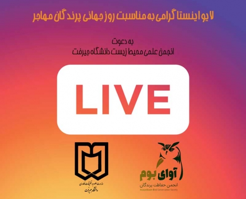 لایو اینستاگرامی