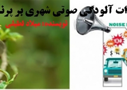 آلودگی صوتی