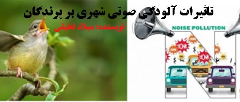 آلودگی صوتی