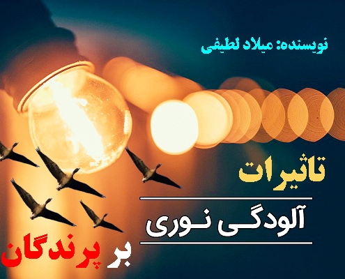 آلودگی نوری یعنی چه