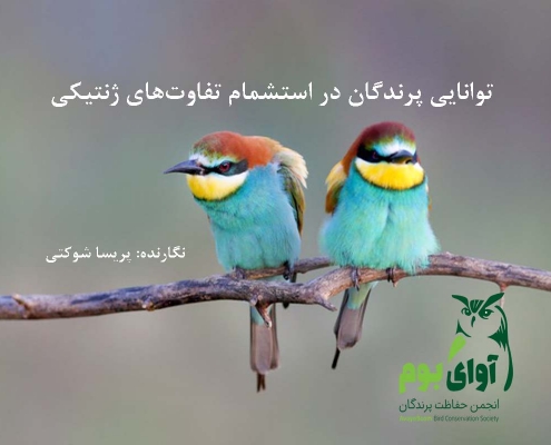 استشمام تفاوت های ژنتیکی