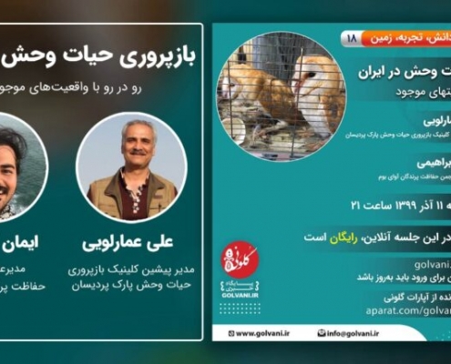 بازپروری حیات وحش