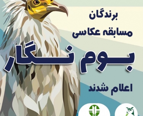 مسابقه ی عکاسی پرندگان بوم نگار آوای بوم