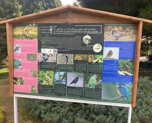 تابلوی راهنمای پرندگان باغ گل ها