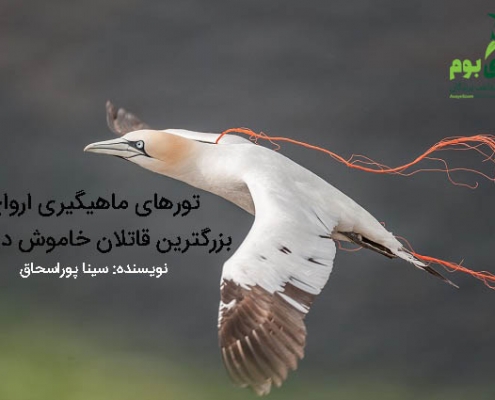 تورهای ماهیگیری