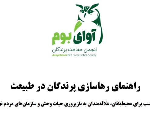 رهاسازی پرندگان