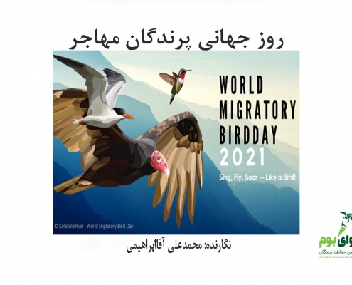 روز جهانی پرندگان مهاجر