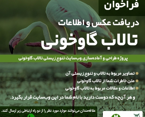فراخوان دریافت عکس برای تالاب گاوخونی