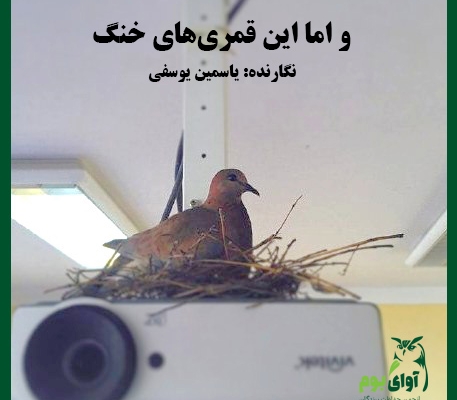 لانه سازی قمری