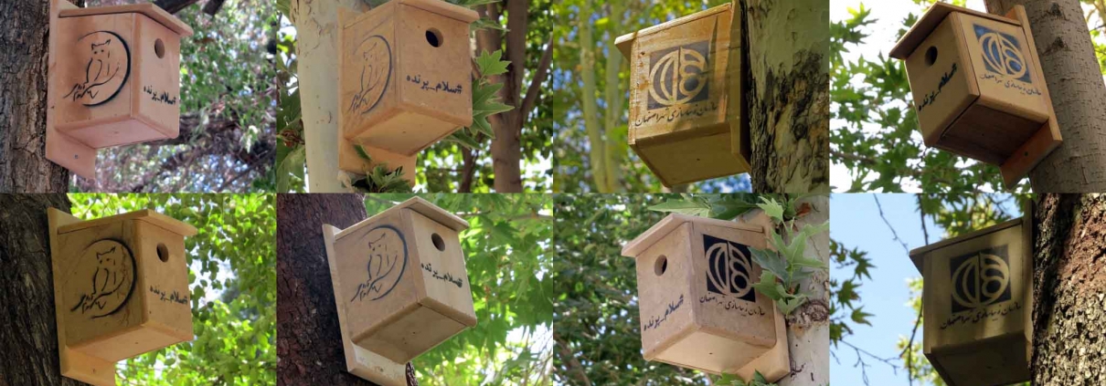 birds nest box in isfahan