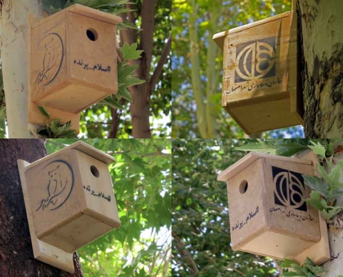 birds nest box in isfahan