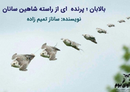 بالابان پرنده