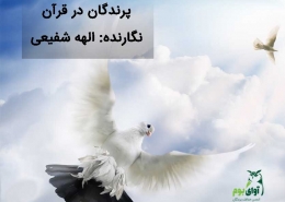 پرندگان در قرآن