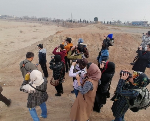 پرنده نگری ۸