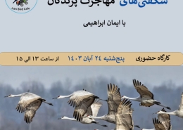 کافه پرنده