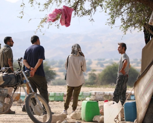 تعارض کندوداران پرندگان زنبورخوار