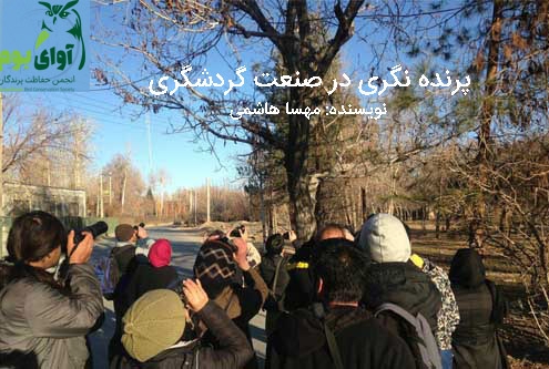 گردشگری ایرانگردی
