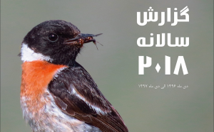 گزارش سالانه آوای بوم