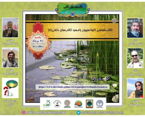 گنجینه های تالابی